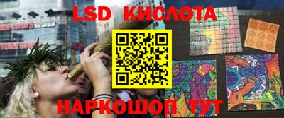 тгк Новозыбков