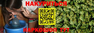 тгк Новозыбков