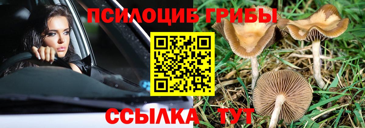Псилоцибиновые грибы Magic Shrooms Солнечногорск