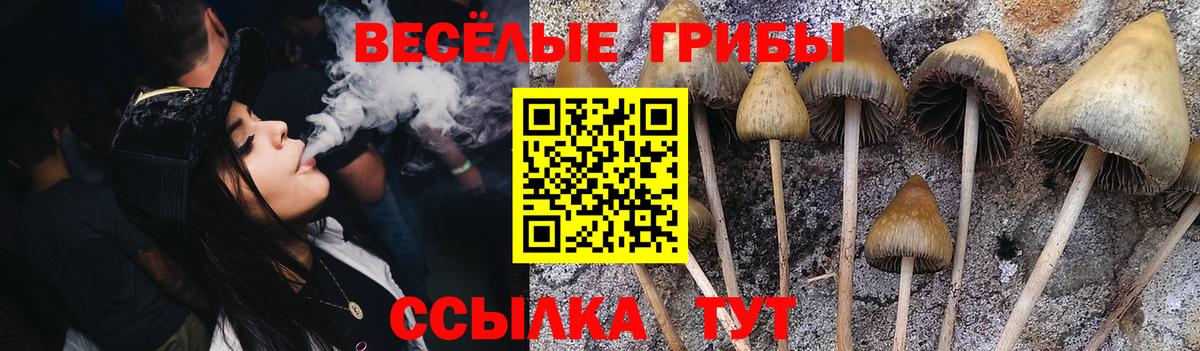 Псилоцибиновые грибы Psilocybe  Вход с VPN  Солнечногорск 